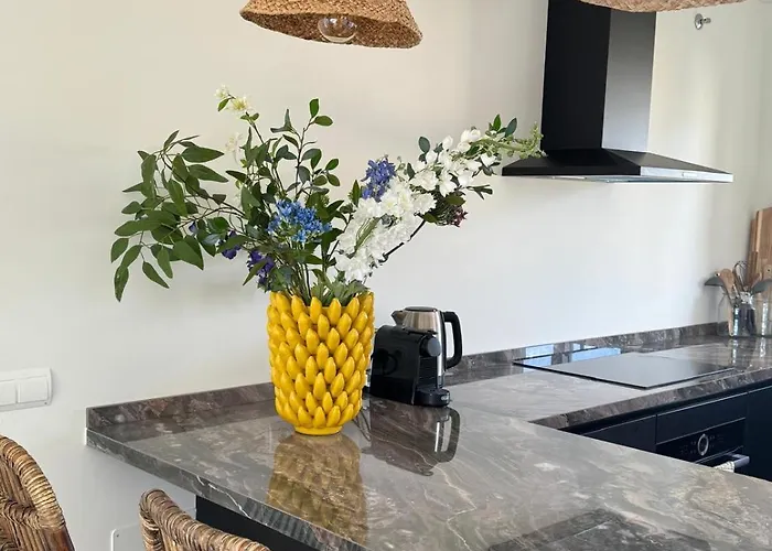 Penthouse Dalia - Roof Terrace With Plunge Pool Estepona