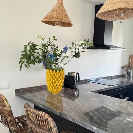 Penthouse Dalia - Roof Terrace With Plunge Pool 埃斯特波纳